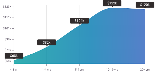 iOS developer pay